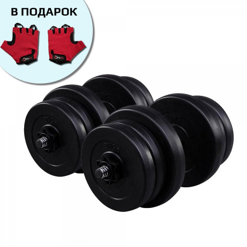 Купити Гантель  Fit-On 2 x 21 кг набірні 2010-0010 у Києві - фото №1